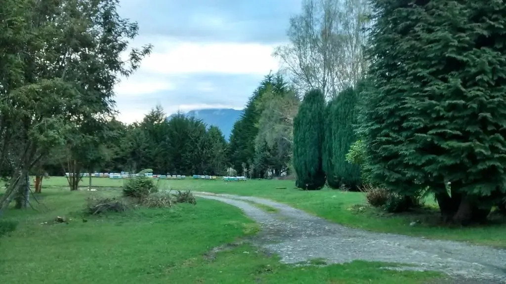 Bosque Patagonico Cabañas y Camping