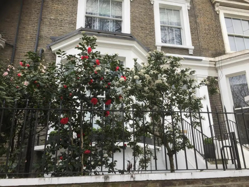 Luxurious Apartment in Kensington & Chelsea