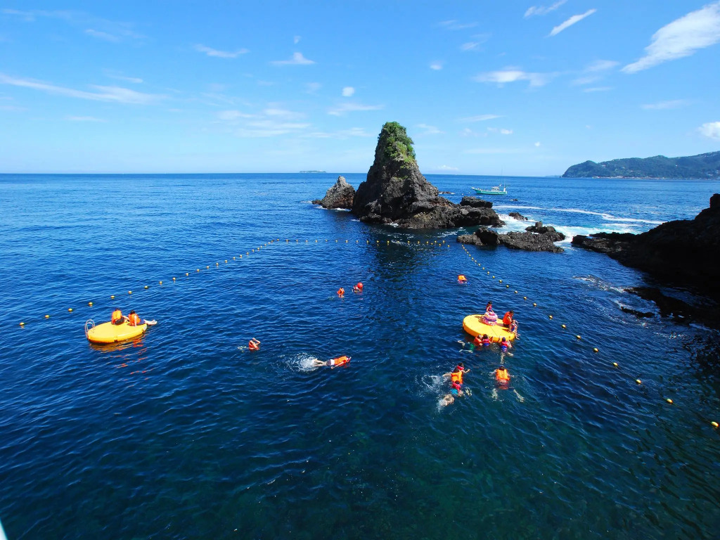 Hotel New Akao