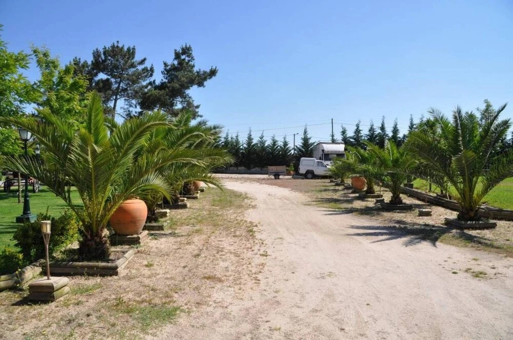 The Camp