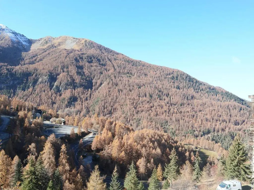 Appartement Les Orres, 1 pièce, 4 personnes - FR-1-322-107