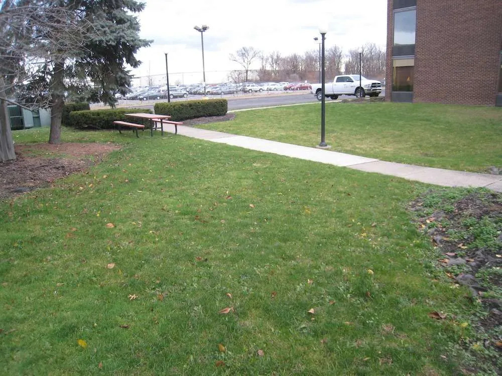 Holiday Inn Hotel And Suites