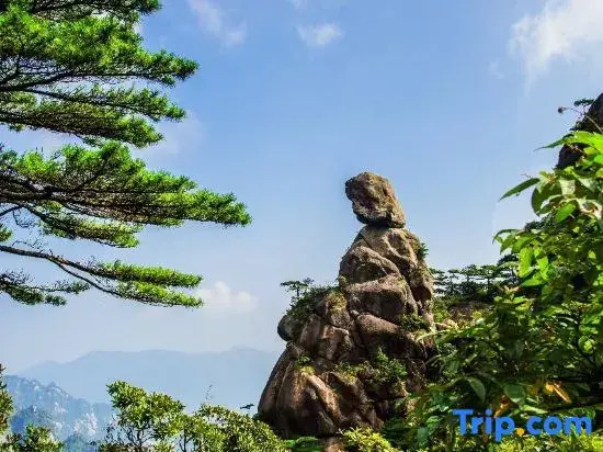Sanqingshan Yunhao Homestay