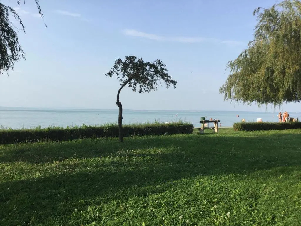 Apartman 511