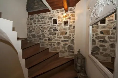 Fotaxia