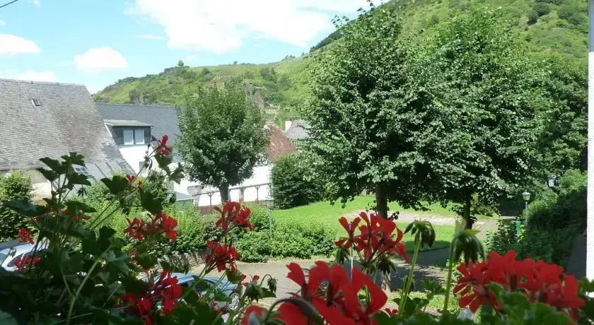 Alte Weinstuben Steinfelder Hof