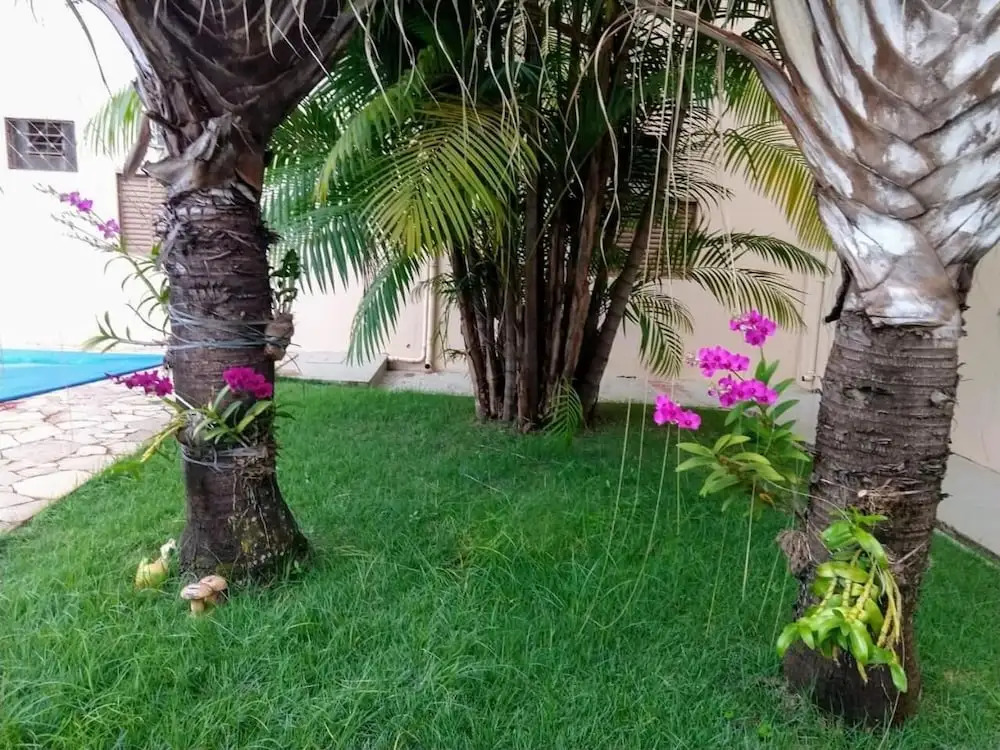 Hotel do Lago