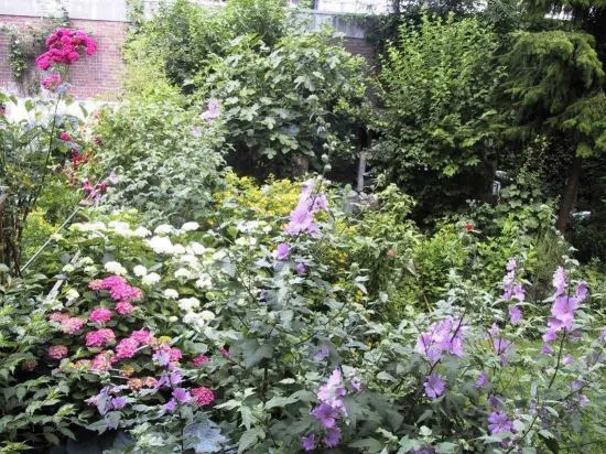 Short stay Appartement Dependance Rotterdam