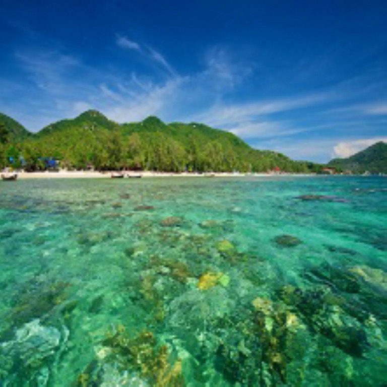 Thalassa
