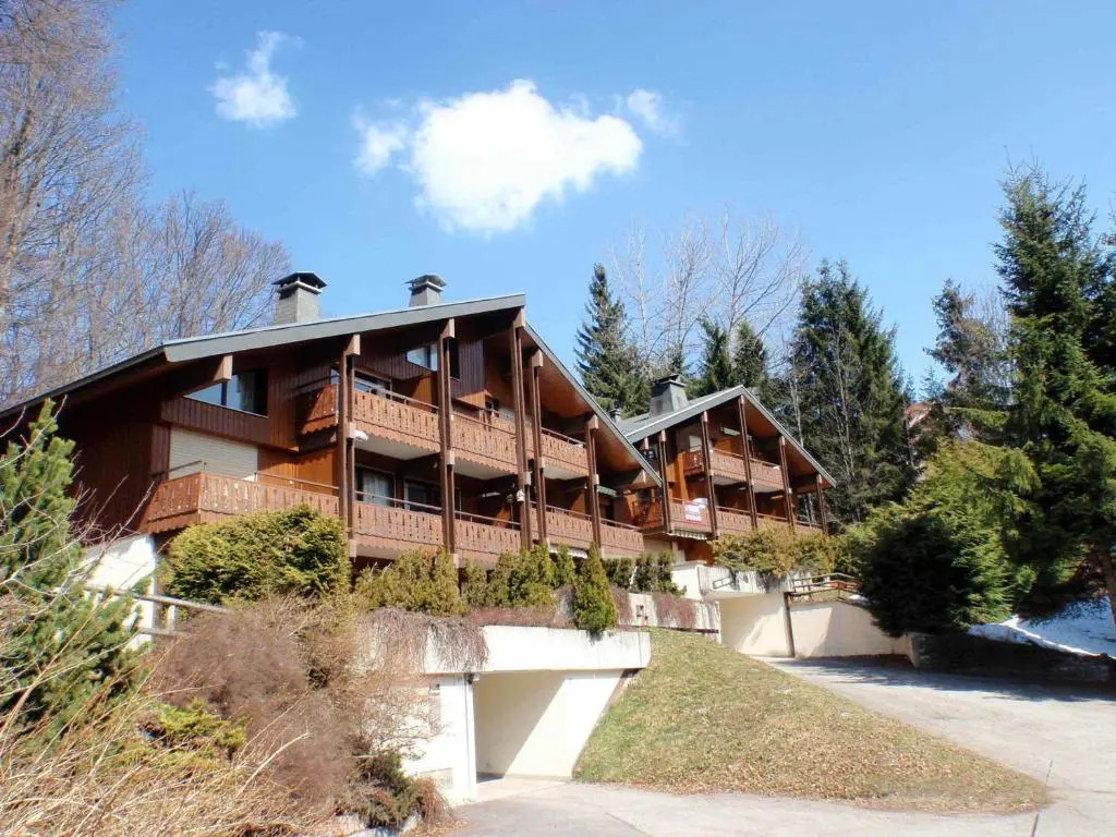 Appartement La Clusaz, 3 pièces, 6 personnes - FR-1-437-12