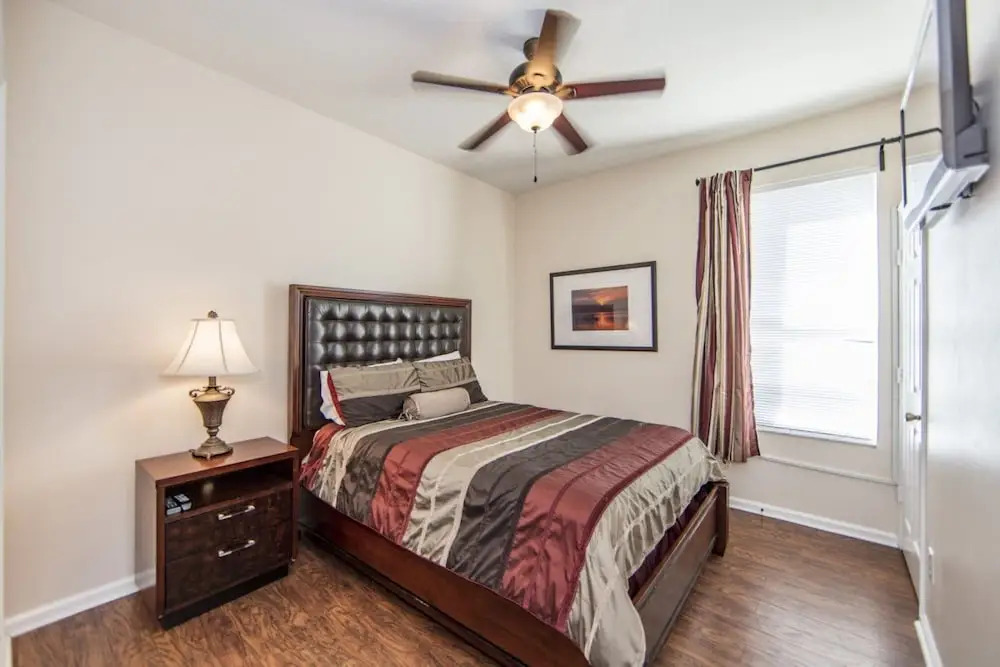 Windsor_palms_8169n
