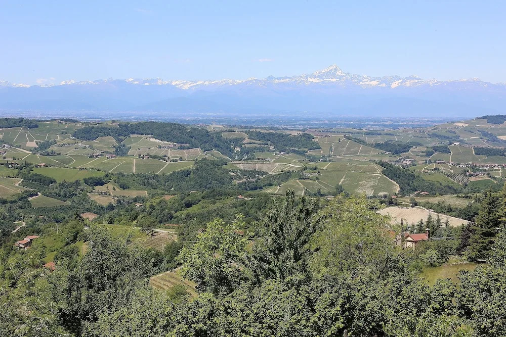 Apartment in the Langhe