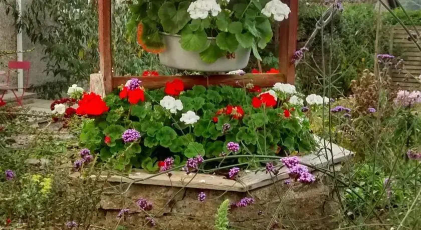 Marymount B&B