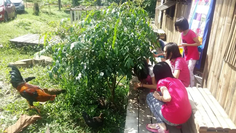 drmind farm