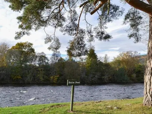 The Willows