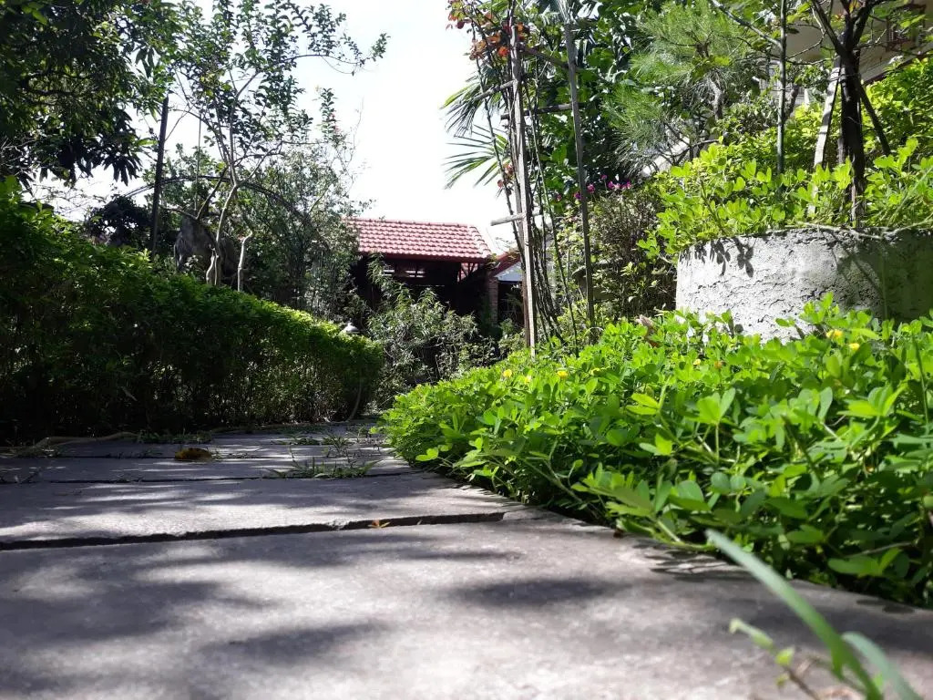 An Phu Homestay