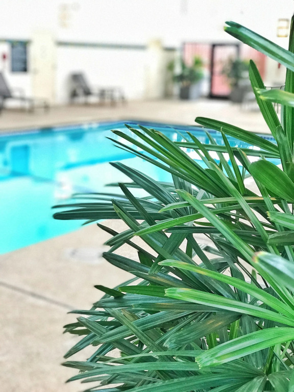 Delta Hotels by Marriott Minneapolis Northeast
