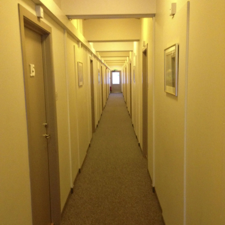 Guesthouse Vatnsholt