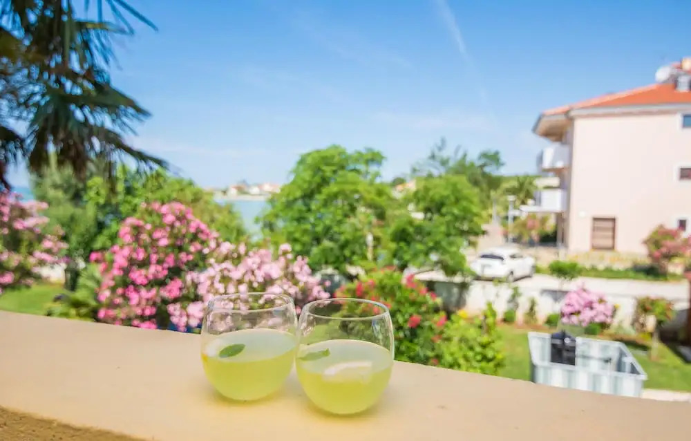 Holiday Home Privlaka V