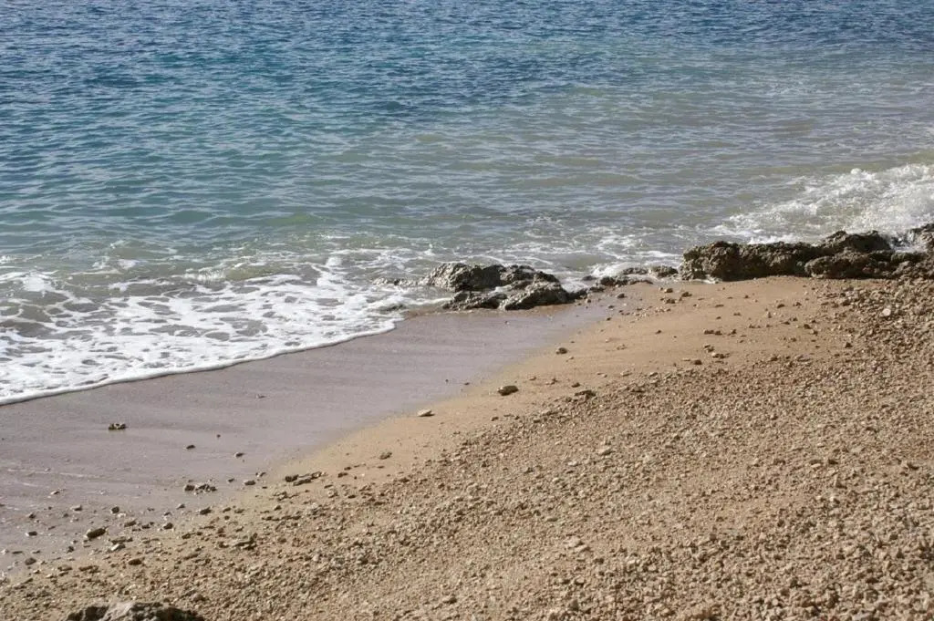 Apartments Cvita - 150m from beach