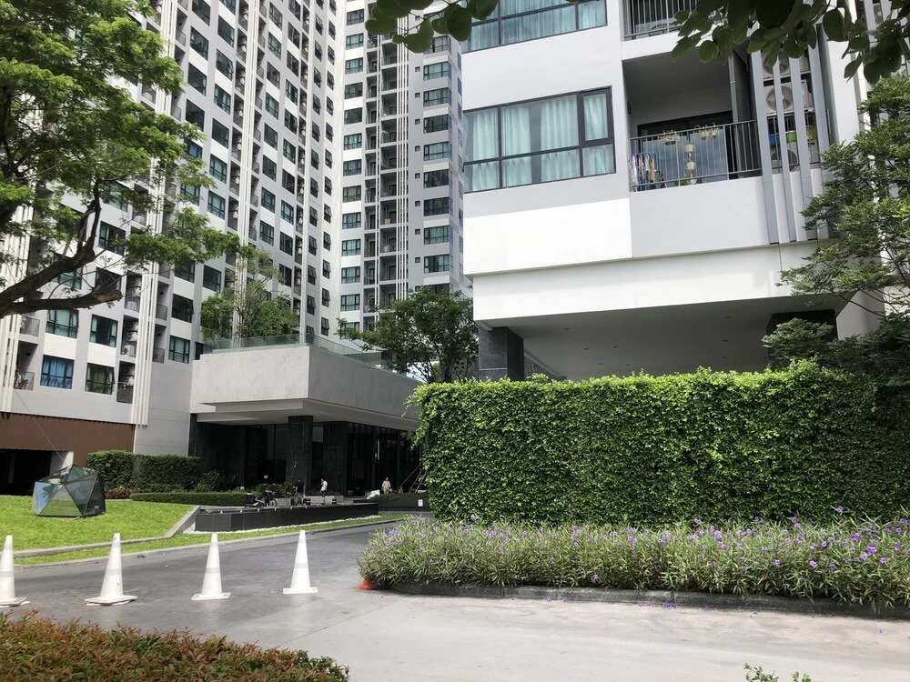 The base in pattaya condo