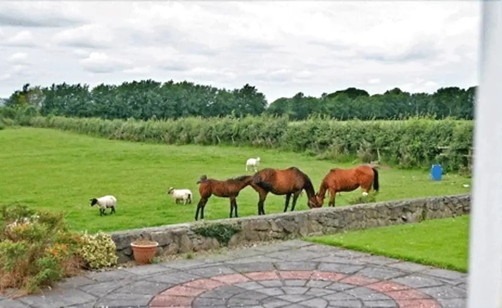 Beechgrove Farmhouse