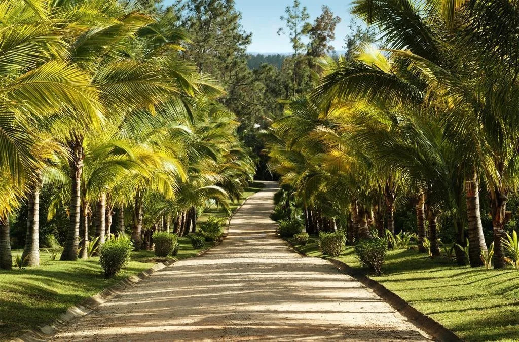 Blancaneaux Lodge by Francis Ford Coppola