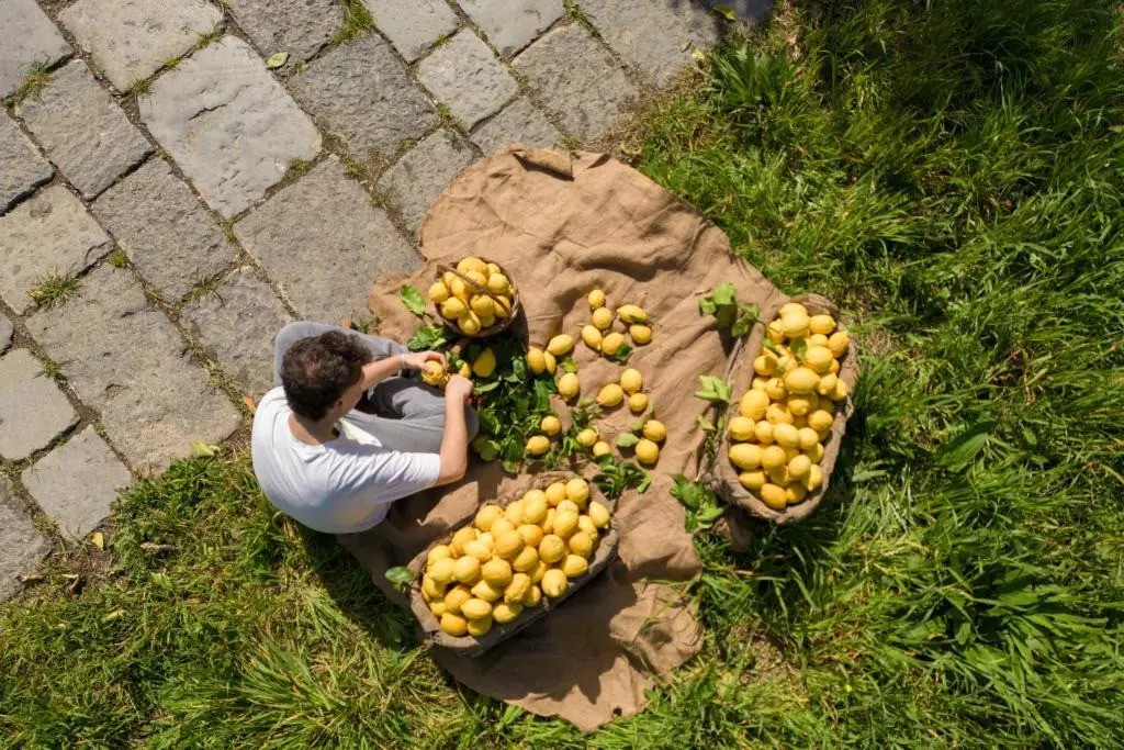 Tenuta Di Leva