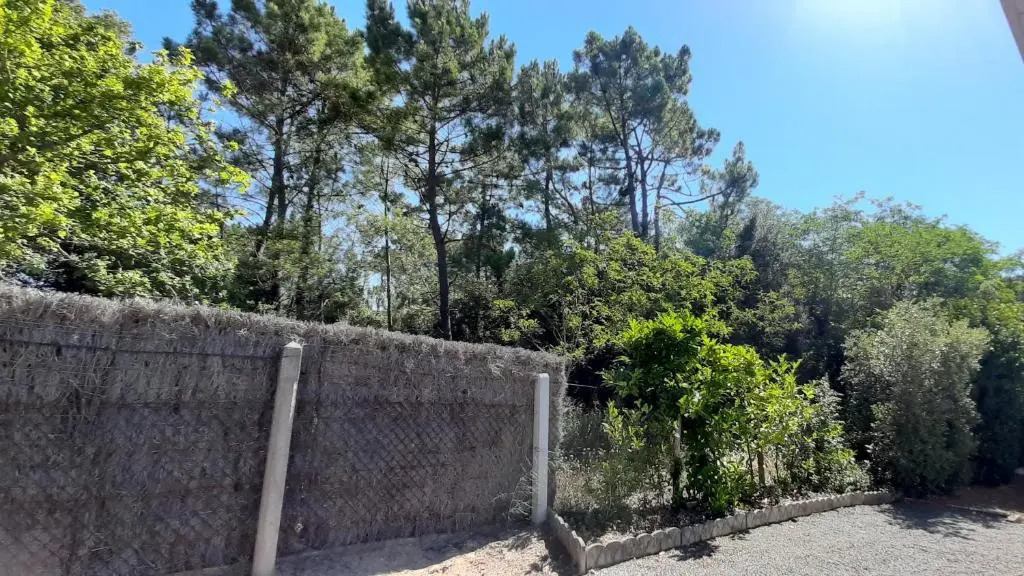 La Forêt des Rossignols - maison 4 à 6 personnes