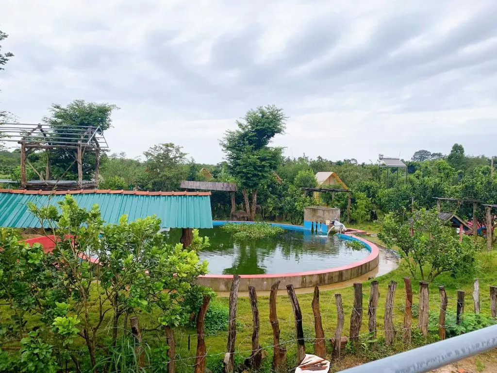 Rice straw Green lodge- resort