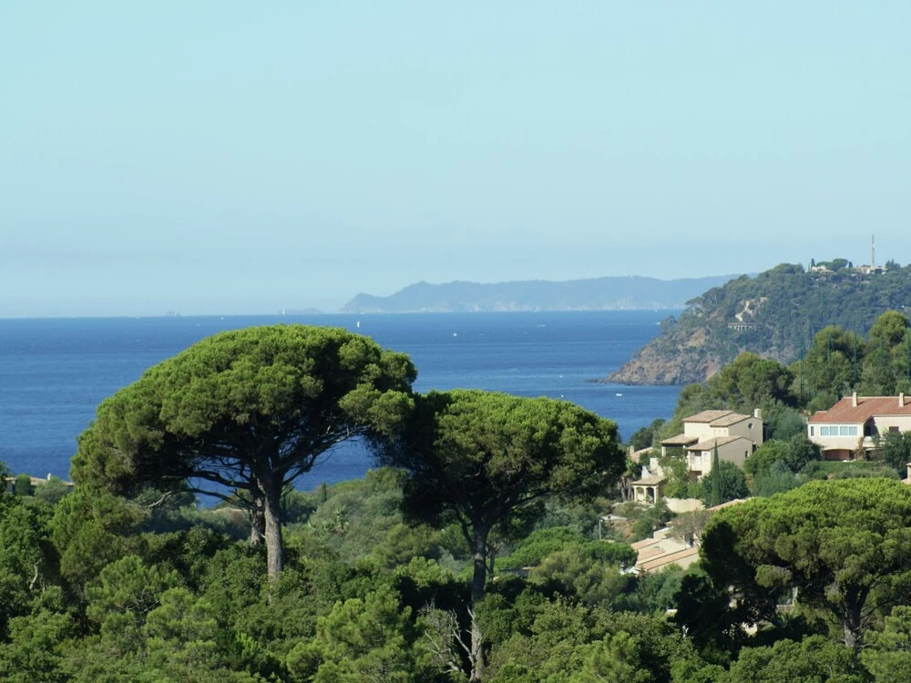 Plushy Villa with Private Pool and Sea Views in La Croix-Valmer