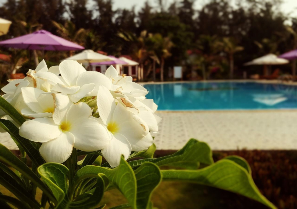 Saint Mary Beach Resort