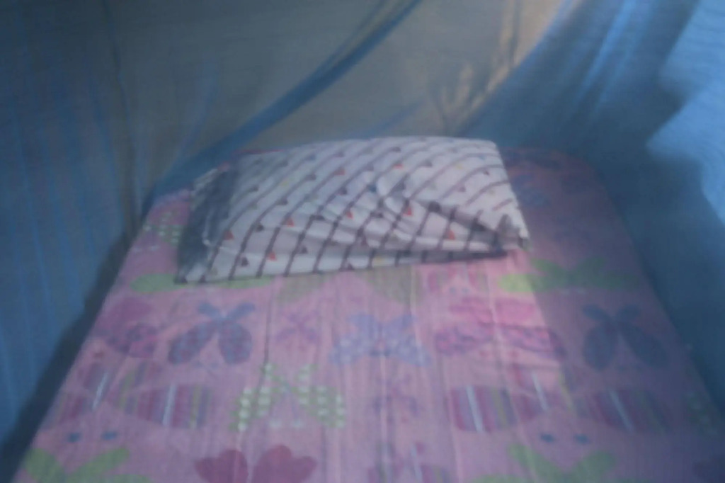 Ecological Jungle Trips & Amazon Lodge