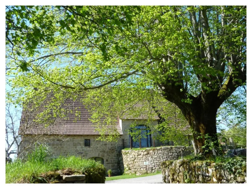 A LOmbre du Tilleul