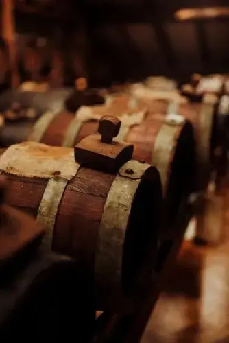 Le dimore de Il borgo del balsamico