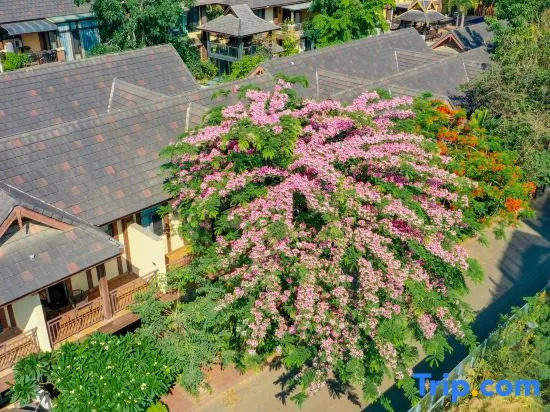 Xishuangbanna Jinghong Qianxunye Villa is a privatesingle-family villa.