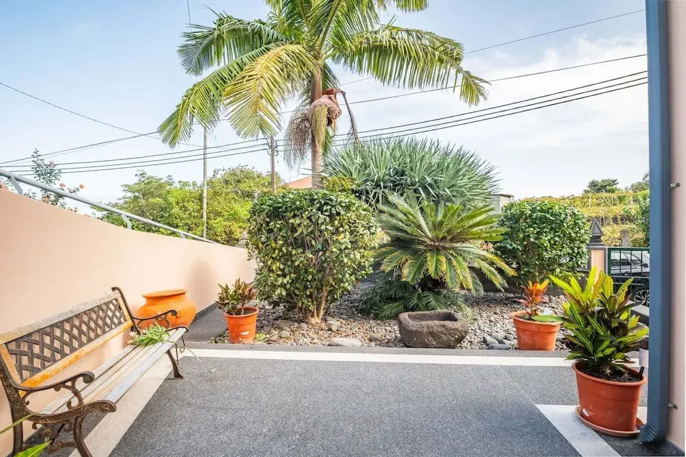Palm Tree House by Homie