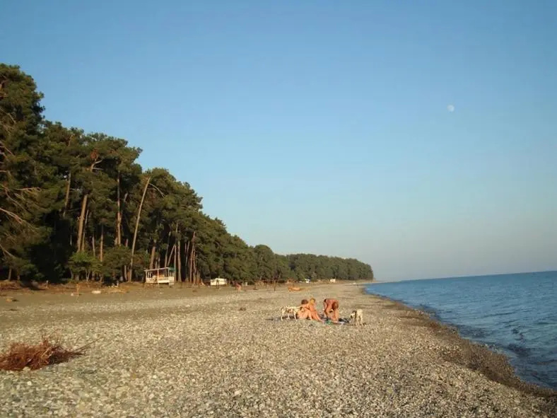 Apartamenty na ul Gochua 13