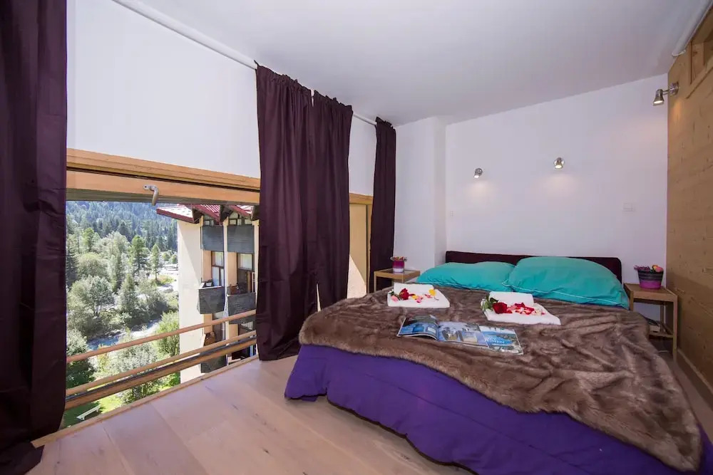 R Sidence Grand Roc - Campanules 306