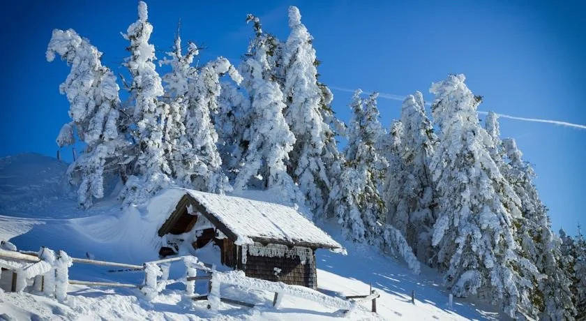 Appartement Baumgartner
