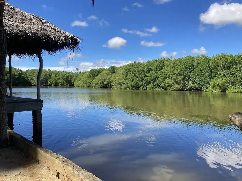 Coconut Island
