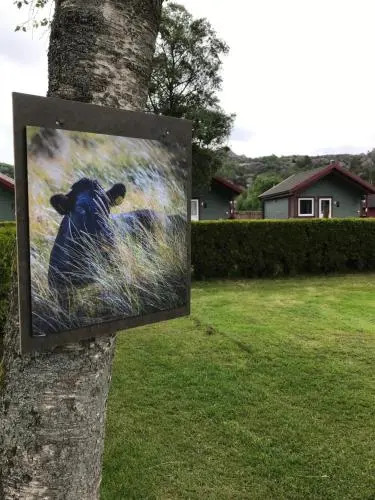 NAF Steinsnes Camping