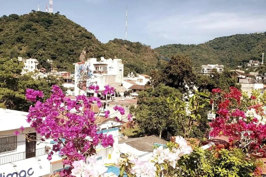 Vive La Zona Romántica En Puerto Vallarta