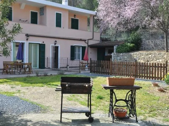Ulivi e Corbezzoli