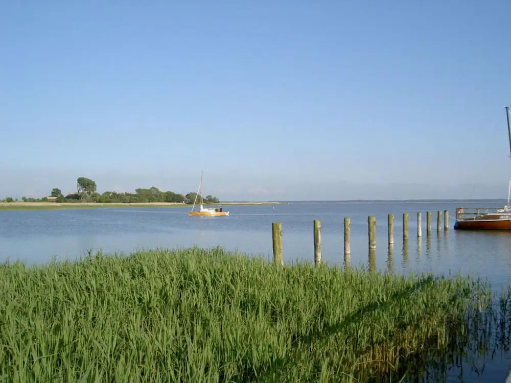 Apartment in Ostseebad Ahrenshoop