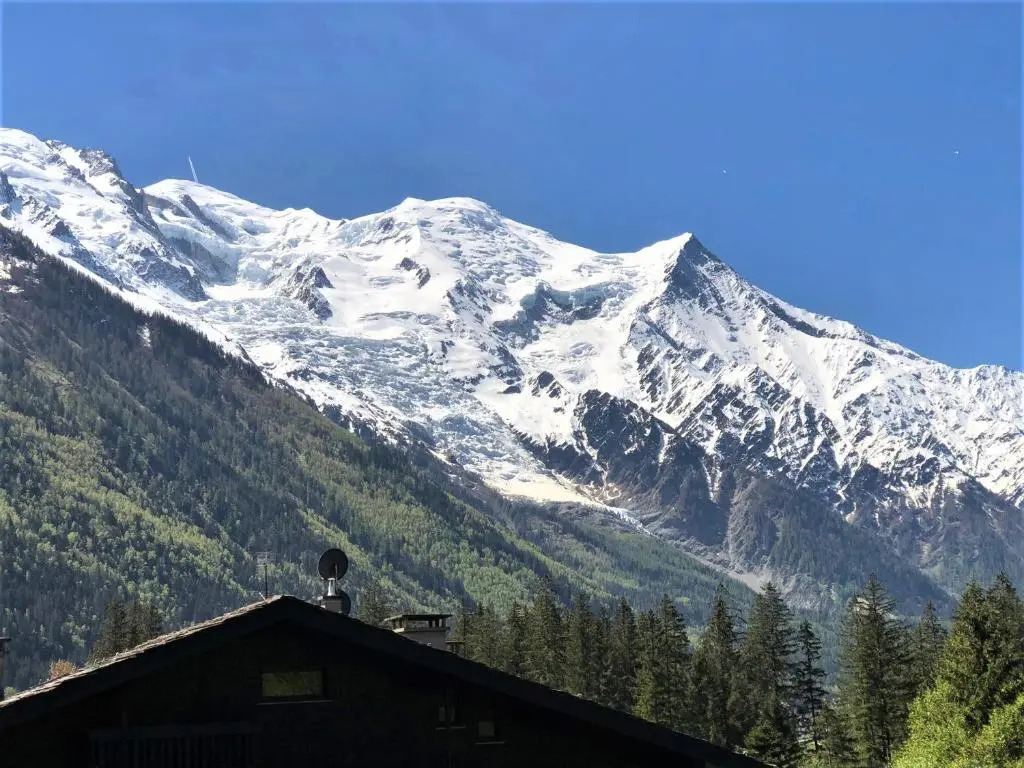 Chamonix - Superbe Appartement vue Mont Blanc