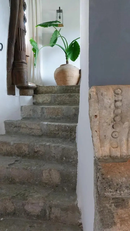 Le Mûrier