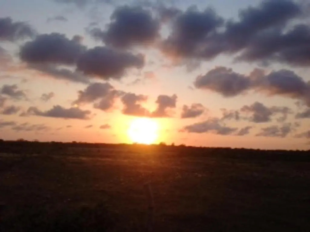House With 3 Bedrooms in Watamu, With Pool Access, Furnished Terrace a