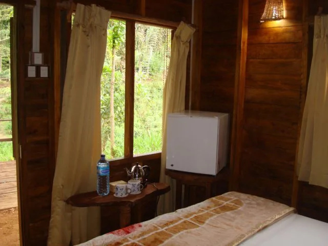 Sinharaja Rainforest Vibe