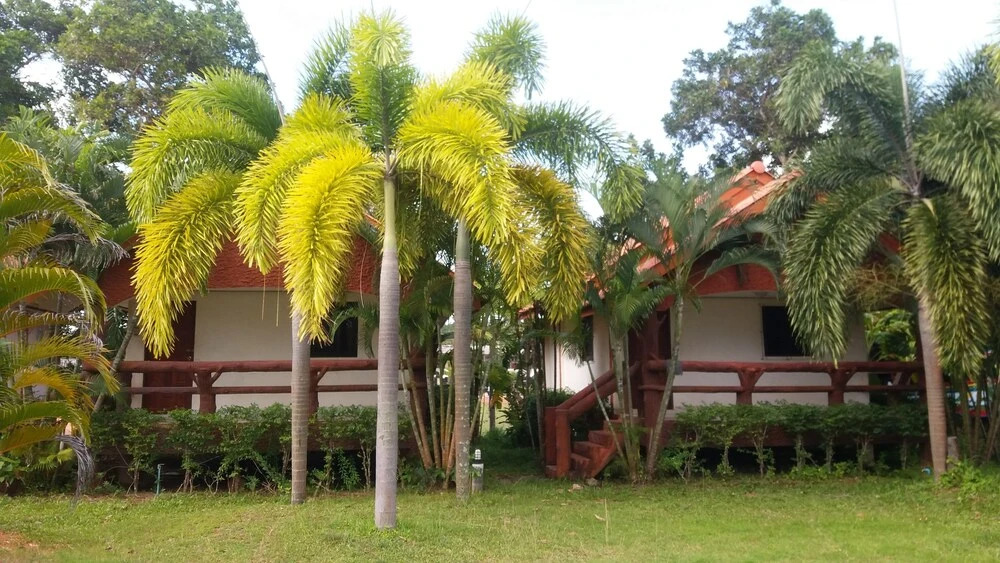 Lanta School Beach Resort